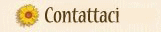 Contattaci